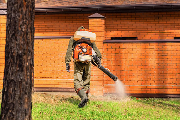Bed Bug Clearance Verification and Documentation in Florence
